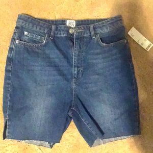 BDG 29 Waist Shorts